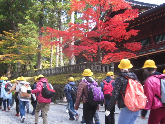 ６年生修学旅行 職員室より